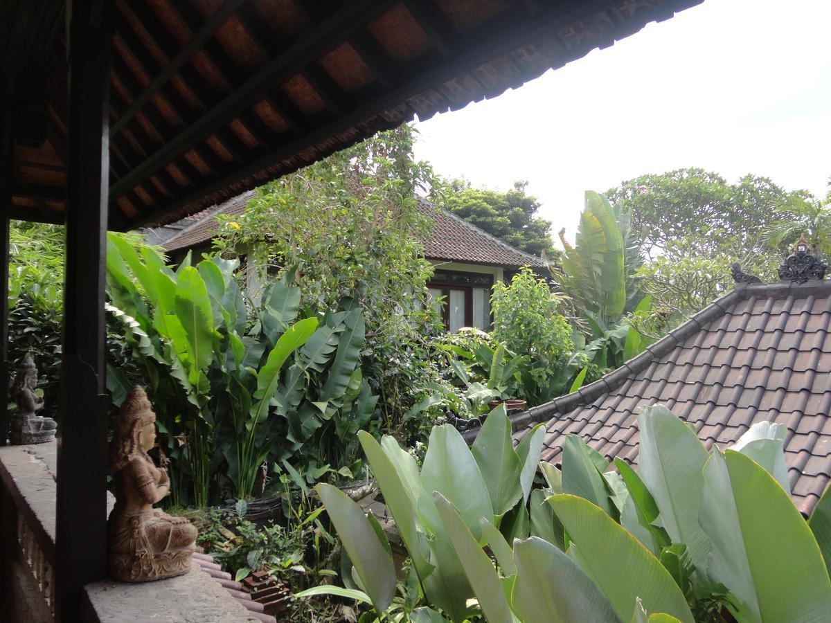 Guest house Fibra Bungalow