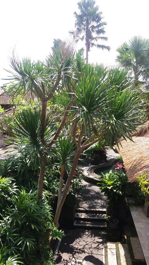 Fibra Bungalow 3*
