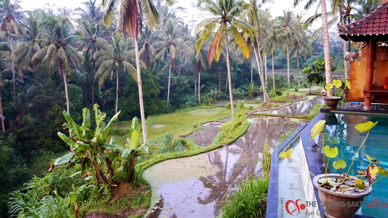 Capung Sakti 4* Ubud (Bali)