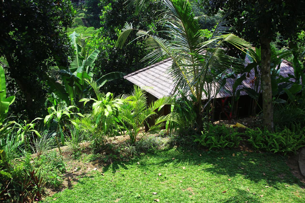 The Pandora Hotel