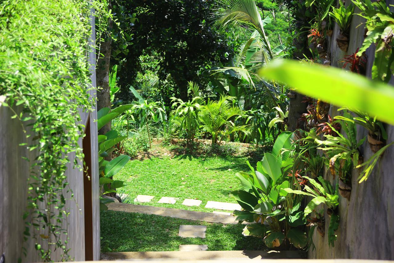 The Pandora Ubud