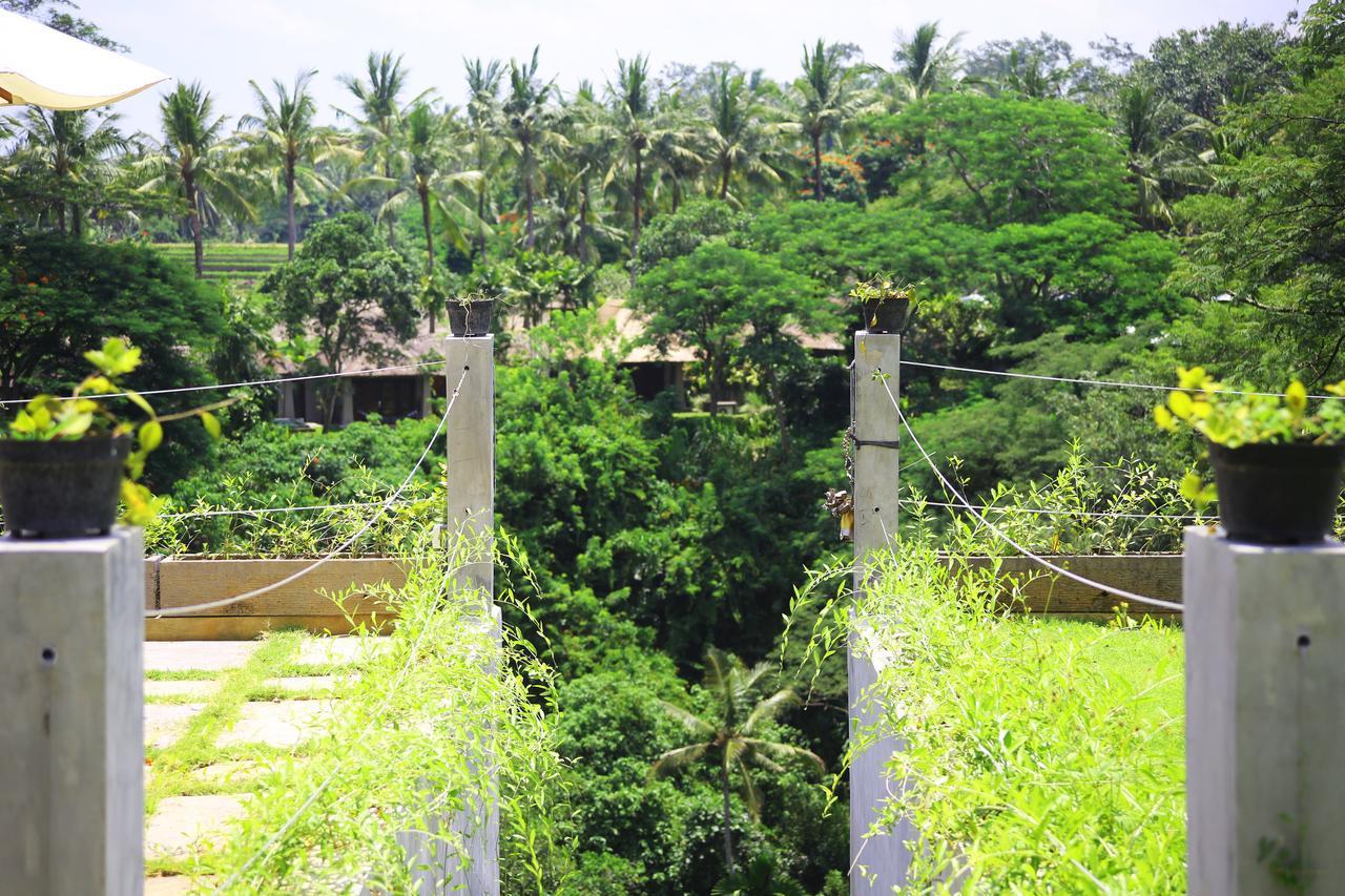 The Pandora Hotel Ubud