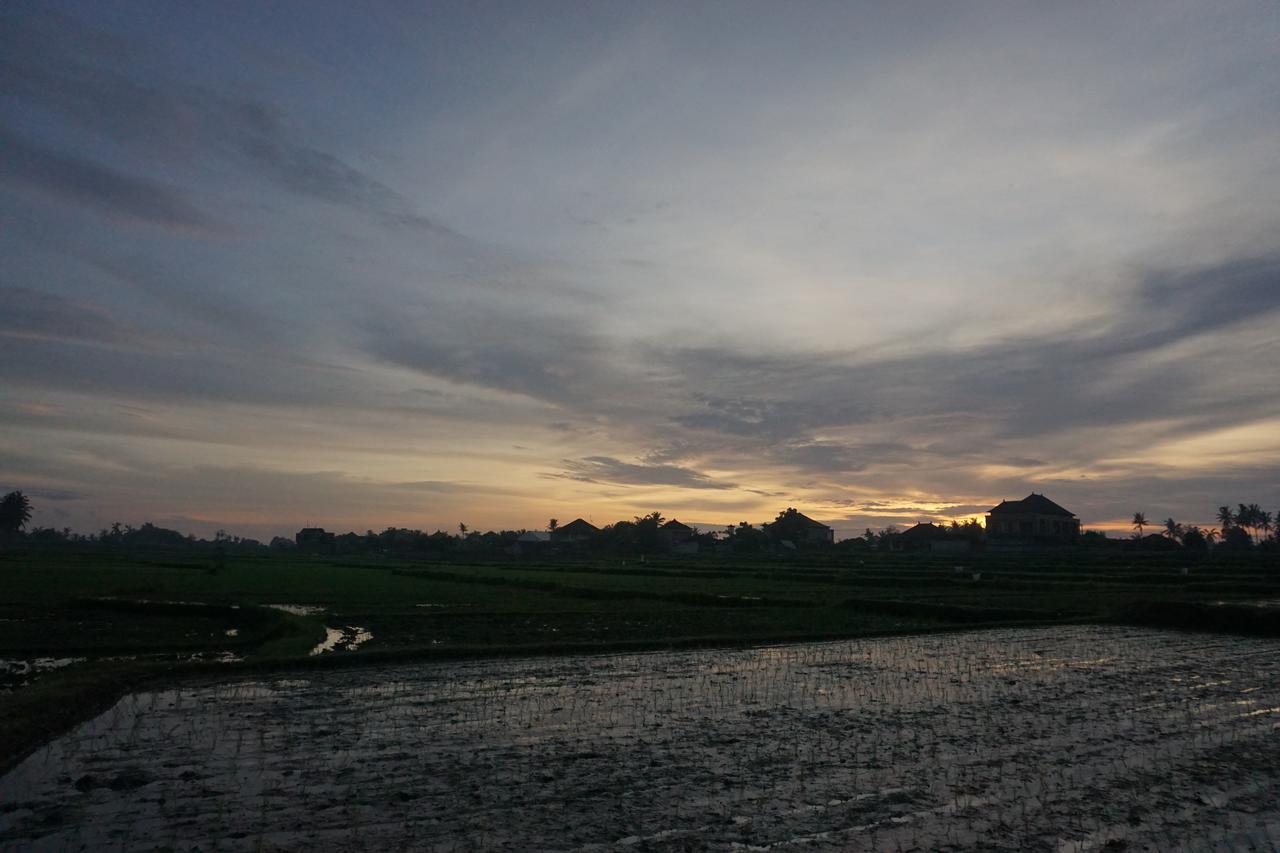 Uma Ubud (Bali)