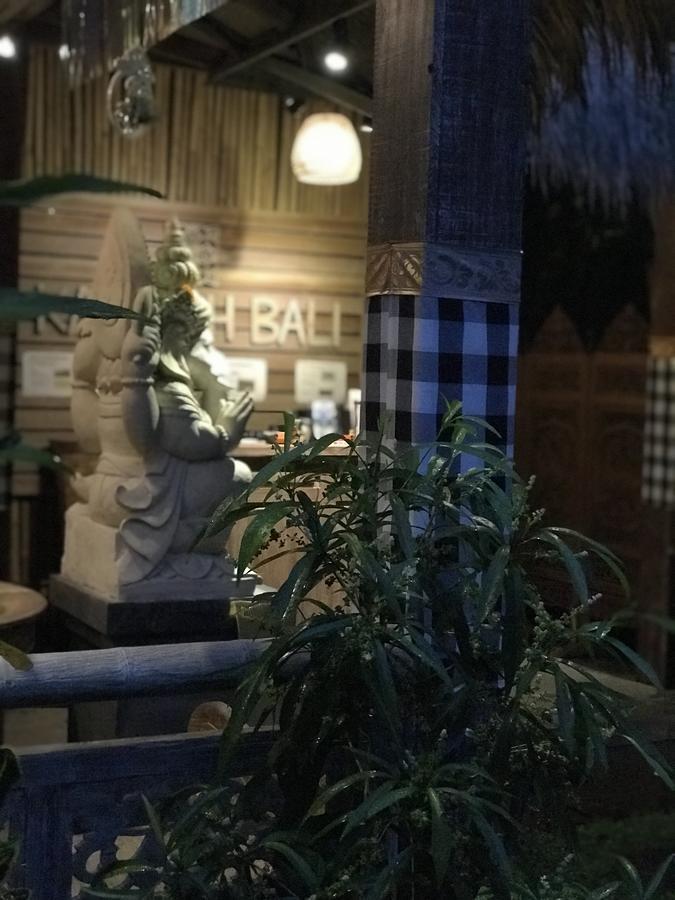 Kailash Bali *
