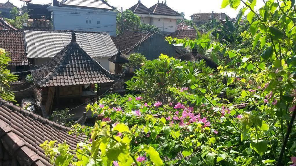 Homestay Demank House Ubud (Bali)