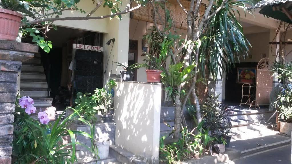 Demank House Homestay *