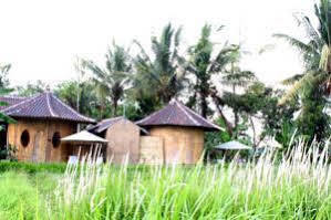 Hotel Shriman Yoga Ubud (Bali)