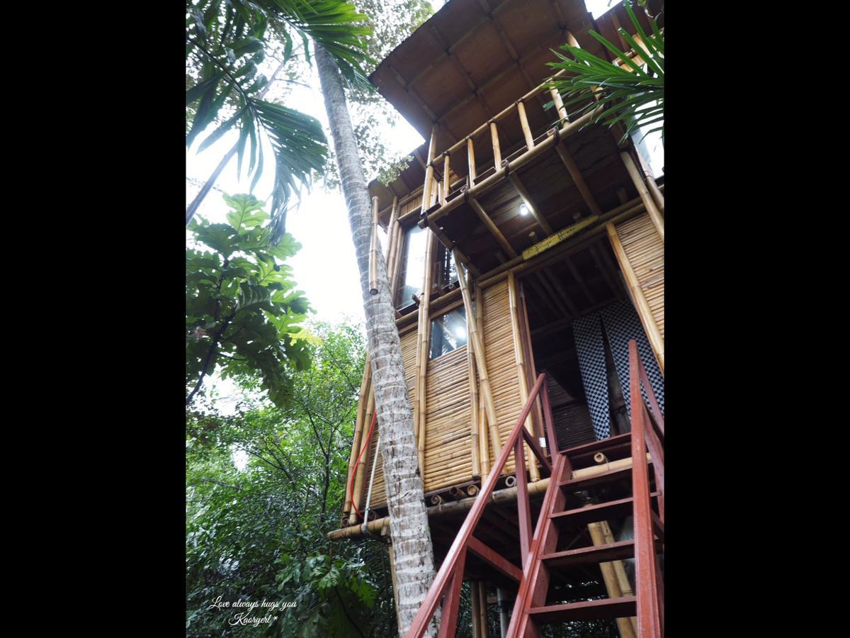 Guest house Hars Garden Tree Houses