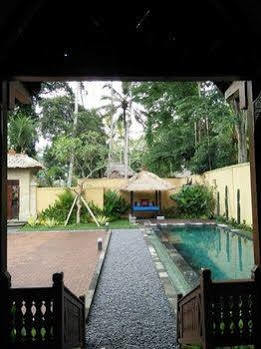 Puri Tupai *