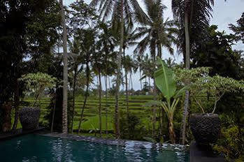 Uma Kama Villa