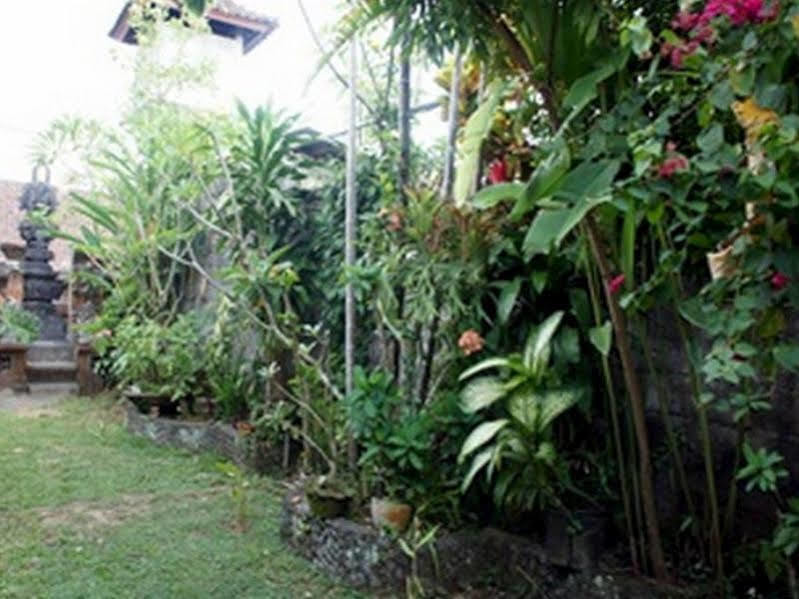 Nyoman Badri 2* Ubud (Bali)