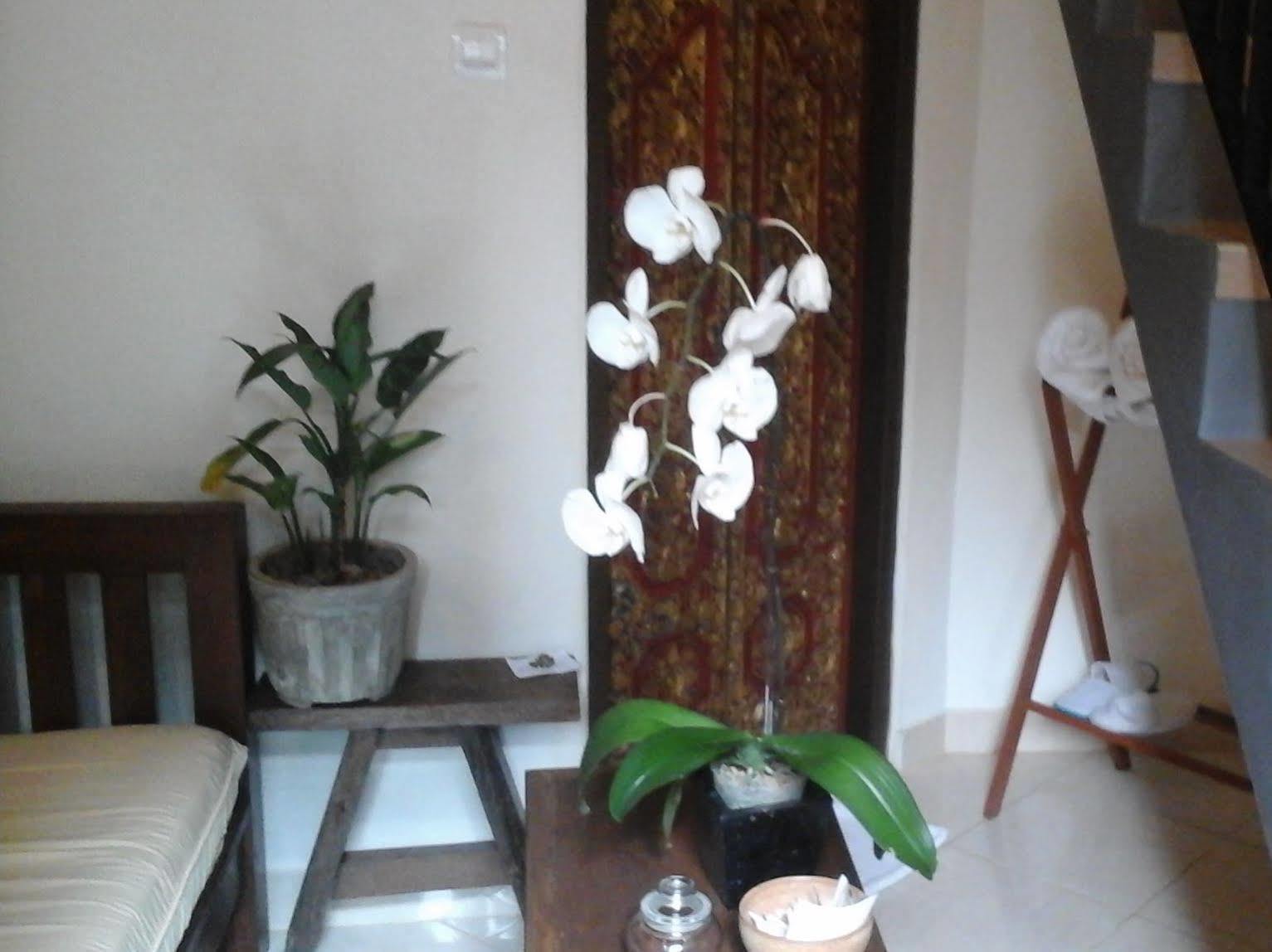 Corner Rumah tetamu Ubud (Bali)