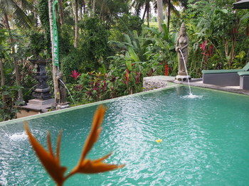 Villa Junjungan Resort Pool & Spa 3* Ubud (Bali)