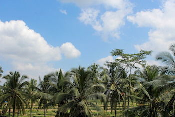 Holiday park Villa Junjungan Resort Pool & Spa 3*
