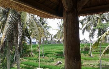 Villa Junjungan Resort Pool & Spa 3*