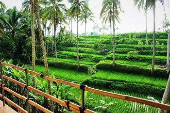 Holiday park Villa Junjungan Resort Pool & Spa