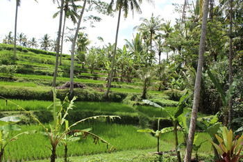 Villa Junjungan Resort Pool & Spa 3*