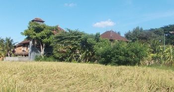 Villa Pecatu Ubud