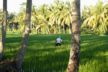 The Luxe Ubud
