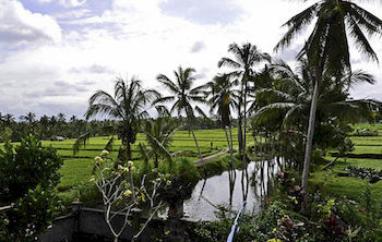 Agung Khalia