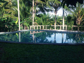Terrace Campuhan 2*