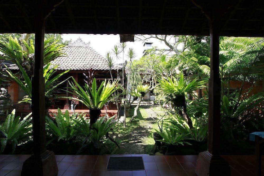 Citrus Tree - Shana * Ubud (Bali)