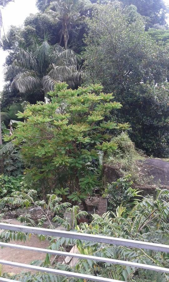Madu Sentana House Guest house Ubud (Bali)