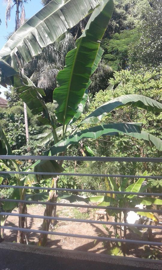 Madu Sentana House Guest house