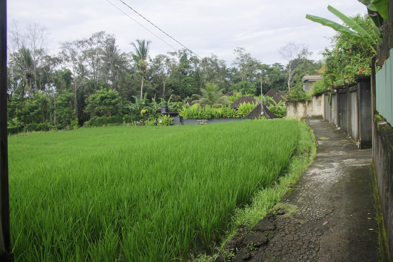 Ratna 4 Apartment Ubud (Bali)