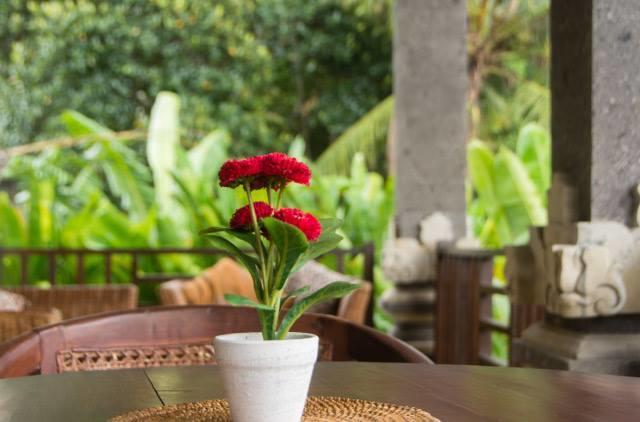 Vila Lily Lane Ubud (Bali)