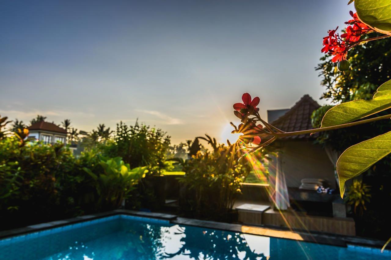 Anastasia Villa Ubud (Bali)