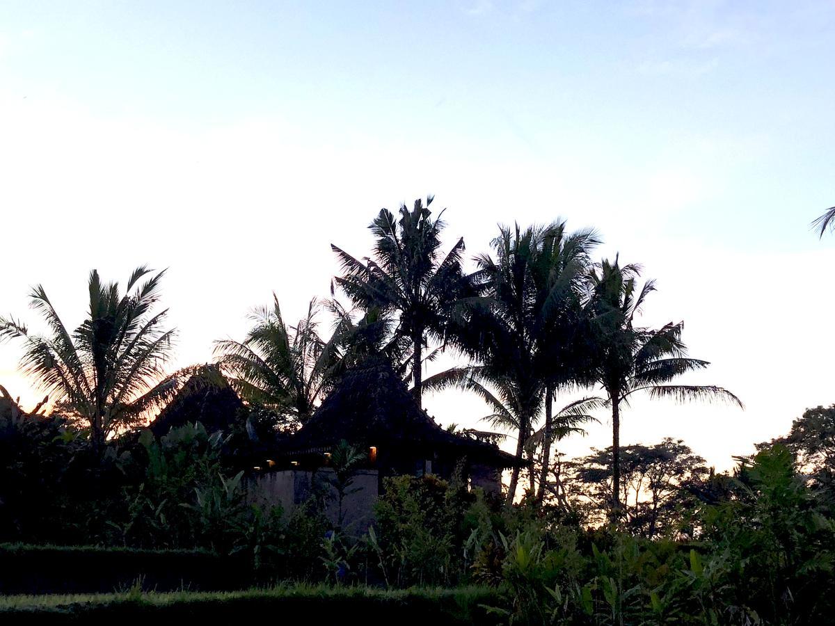 Neyang * Ubud (Bali)