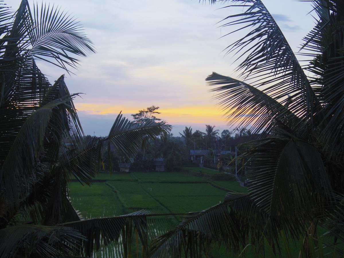 Tempat Tidur & Sarapan Eden House
