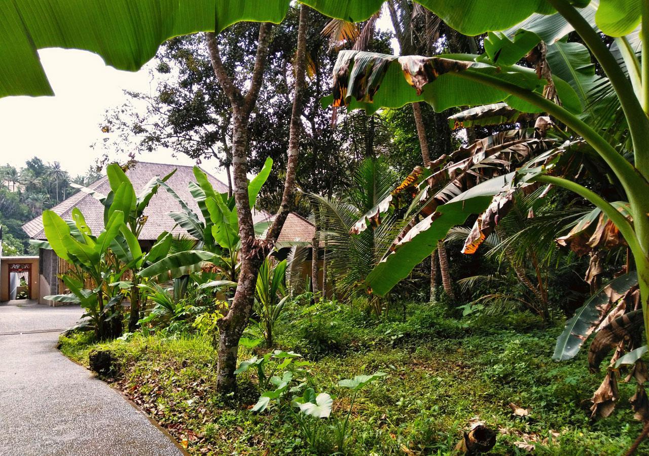 Villa Bawah *