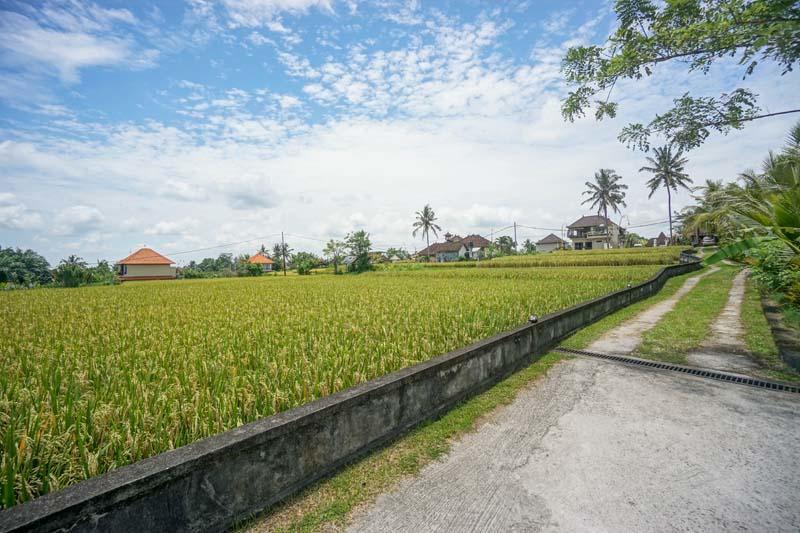 Rumah Sungai Bed & Breakfast 3*