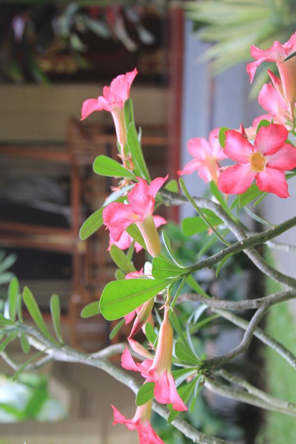 Secret Garden Sky Ubud (Bali)