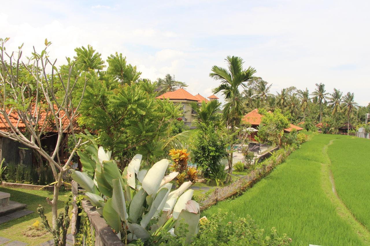 Nur By Purely Ubud (Bali)