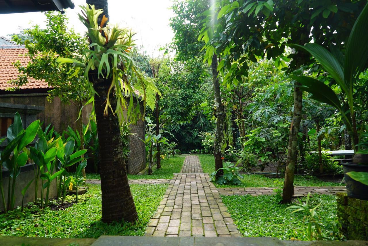 Guest house Ary House 2*