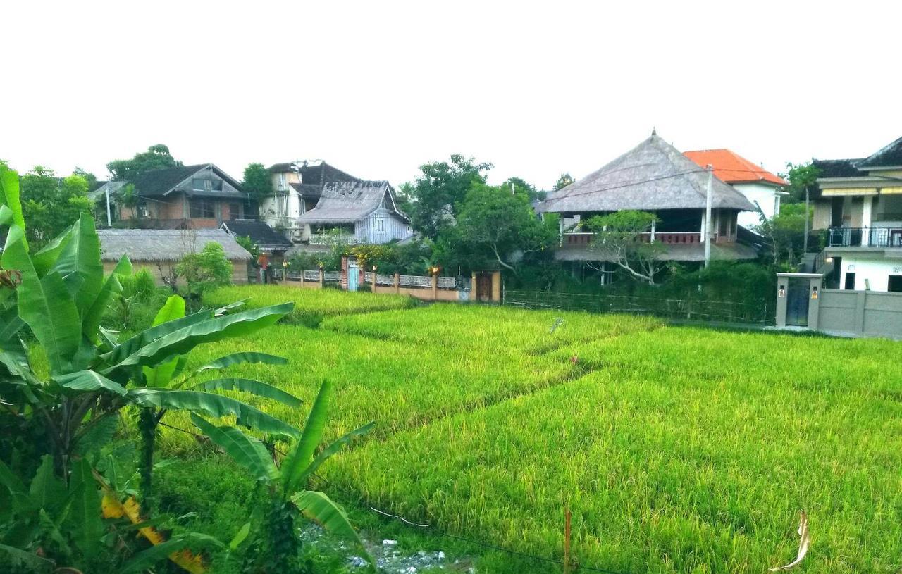 Qiul Guest house