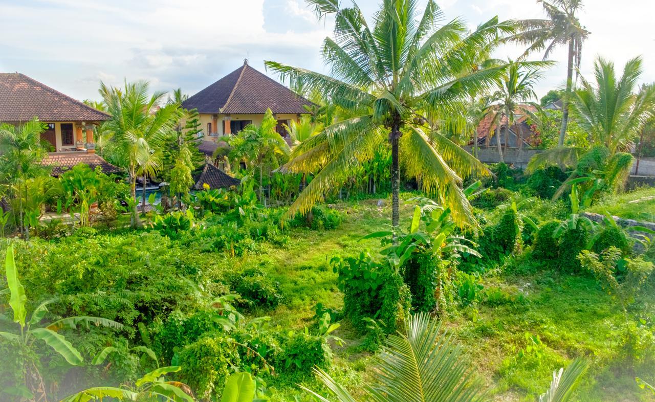 Bed & Breakfast Semujan 2*
