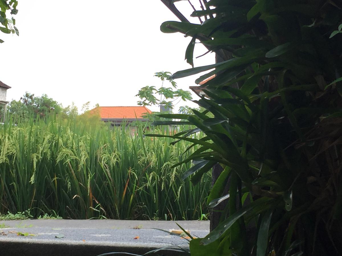 Depong House Ubud