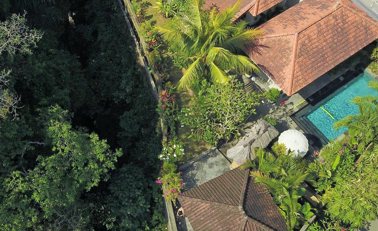 Alam Surya * Ubud (Bali)