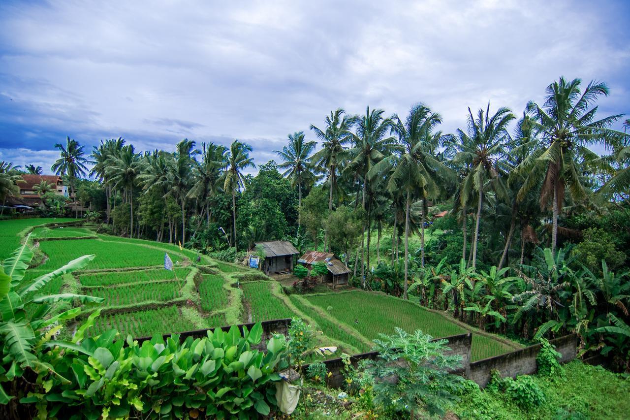 Gusti Rai House Gasthof