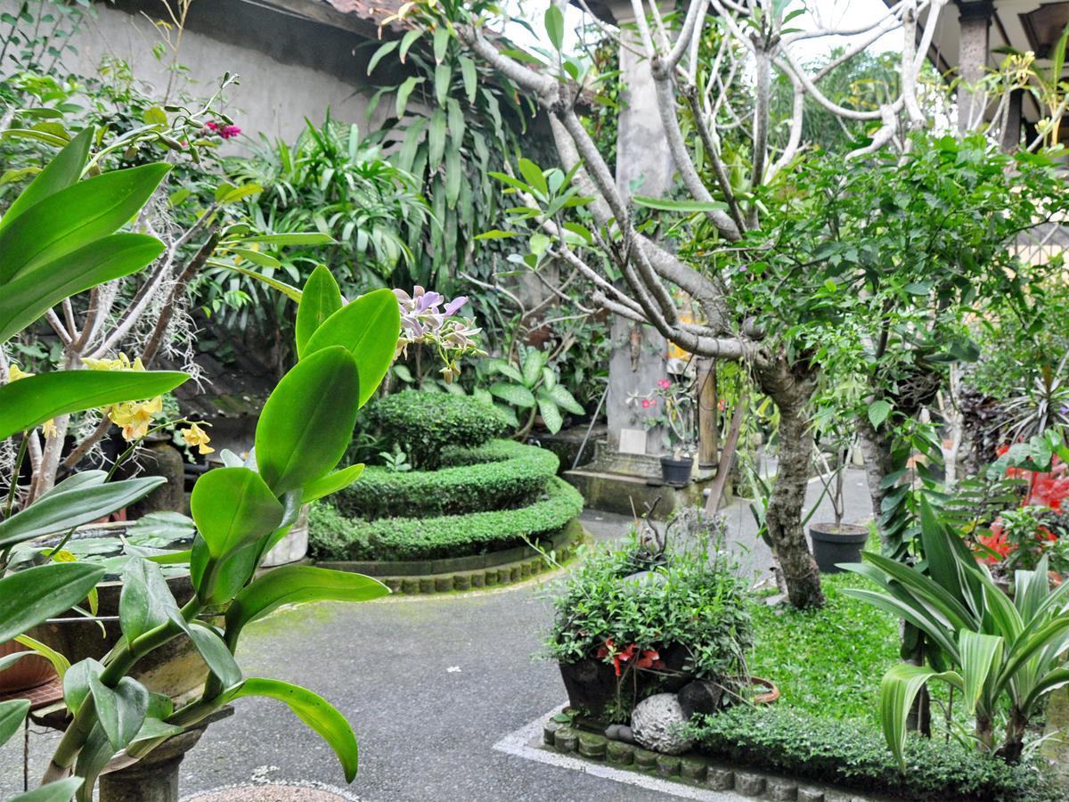 Gasthuis Pancer House Ubud