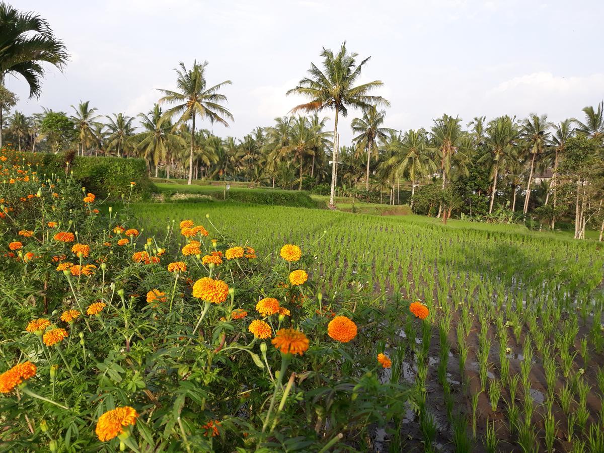 Pousada Syailendra