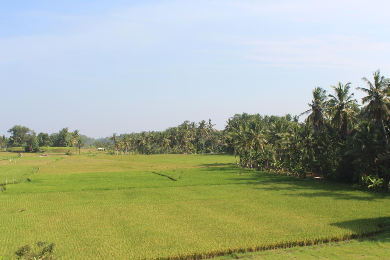 Fortuna Wisma tamu