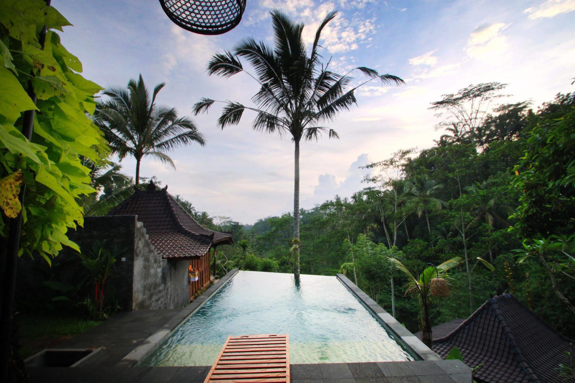 Jungle Holy Water