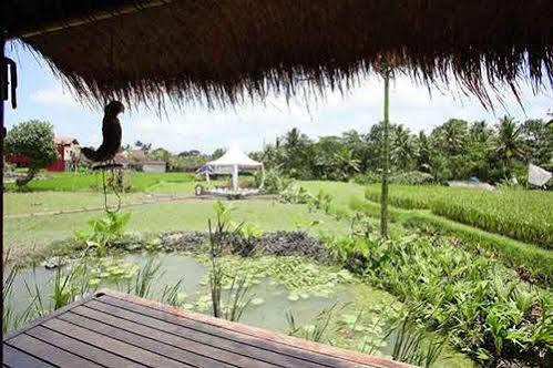 Hidden Yone Village Holiday park Ubud (Bali)