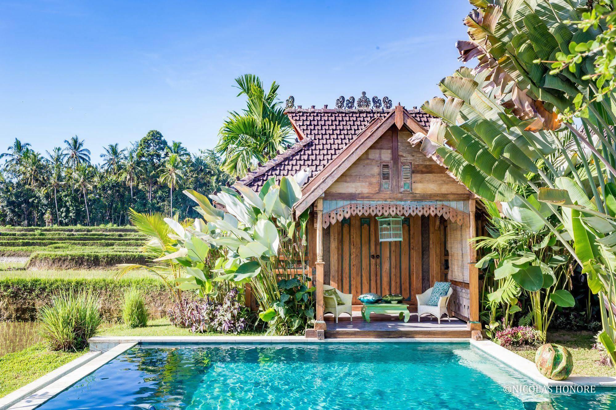Hati Padi 3* Ubud (Bali)