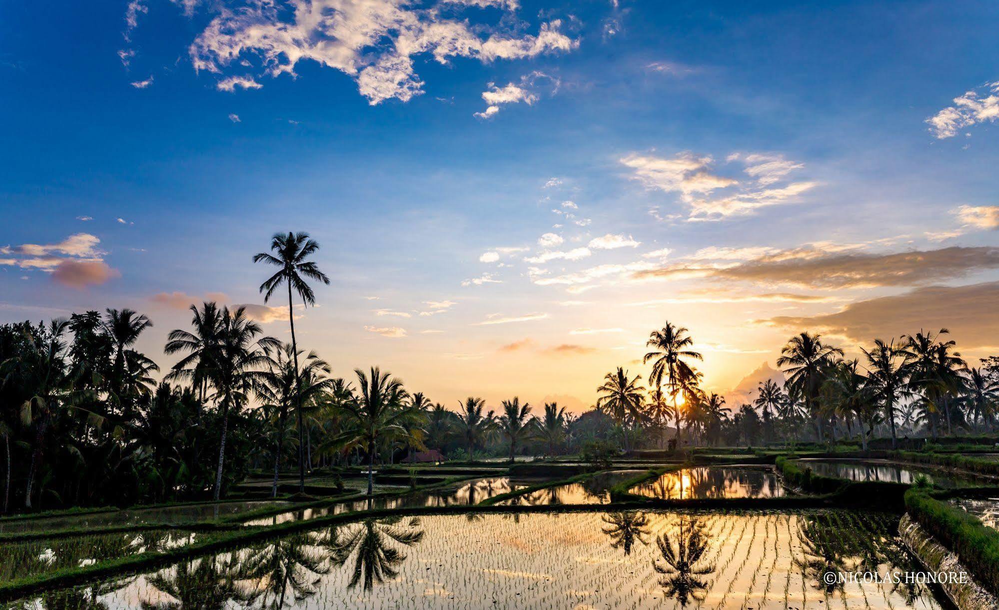 Hati Padi Bed & Breakfast 3*